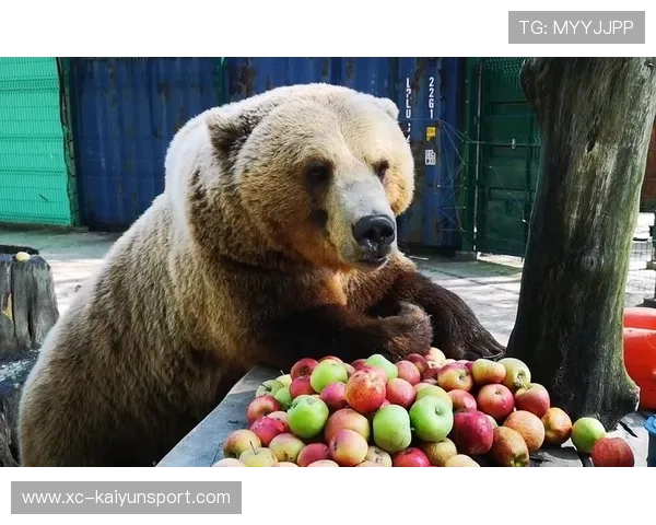 俄罗斯市区突现黑熊,惊动全城,俄罗斯大黑熊什么意思 俄罗斯市区突现黑熊,惊动全城,俄罗斯大黑熊什么意思